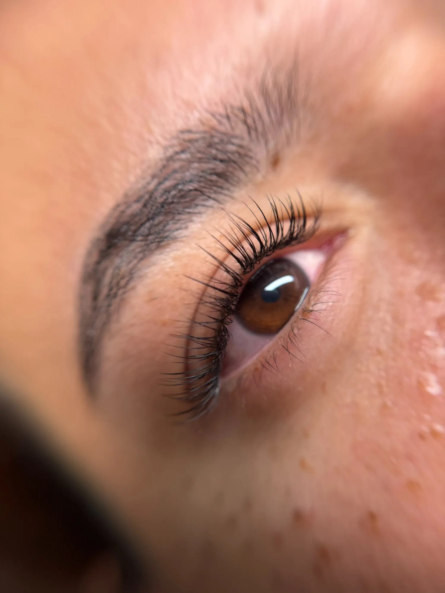 Classic lash extensions closeup Perth - Lash Magnifique